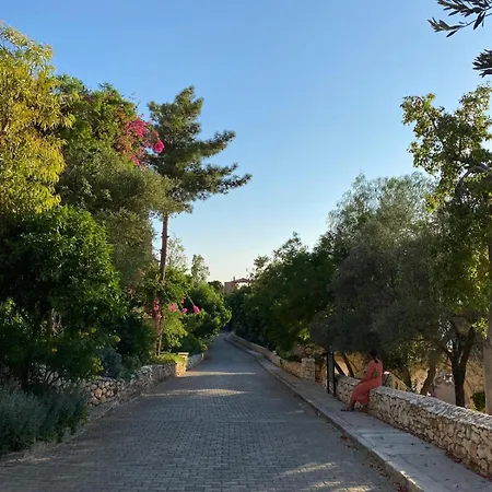 Olive Garden, Kalkan Clubpatara
