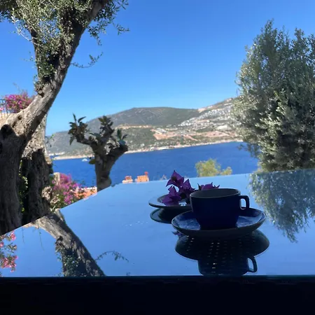 Olive Garden, Kalkan Clubpatara Villa Kas