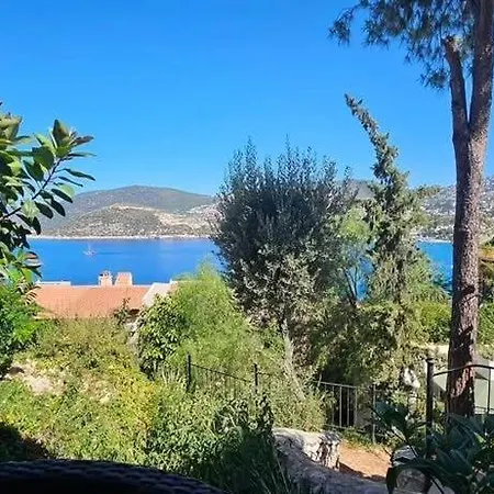 Vilă Olive Garden, Clubpatara *