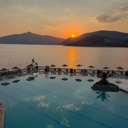Villa Olive Garden, Clubpatara