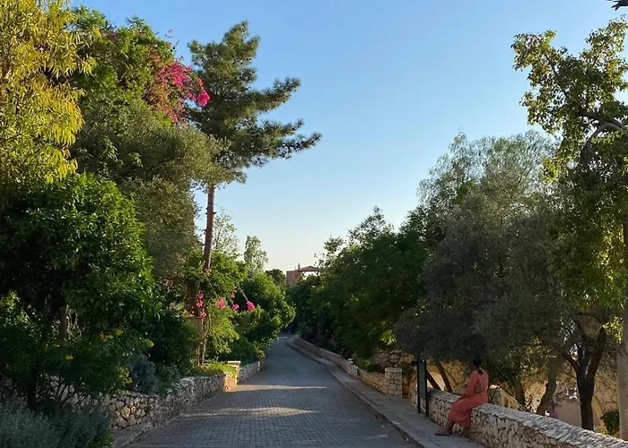 Olive Garden, Clubpatara