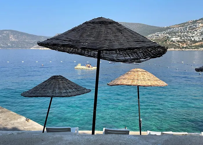 Olive Garden, Clubpatara * Kalkan
