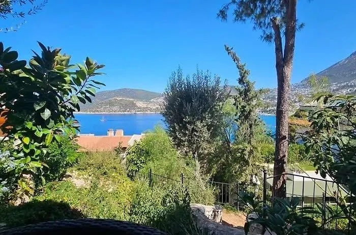 Villa Olive Garden, Clubpatara *